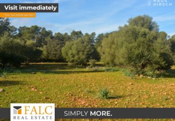 [COVER] falc-overlay-image-%5BTIME%5D.jpeg