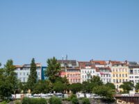 pexels-frank-rietsch-135445060-12903502