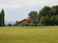 ©pexels.com-13573233/