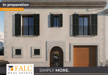 [COVER] falc-overlay-image-%5BTIME%5D.jpeg