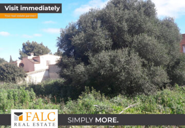 [COVER] falc-overlay-image-%5BTIME%5D.jpeg