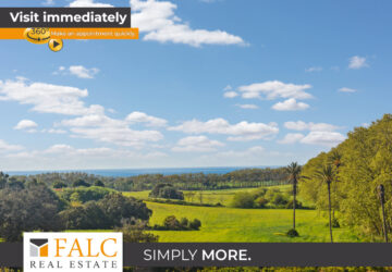 [COVER] falc-overlay-image-%5BTIME%5D.jpeg