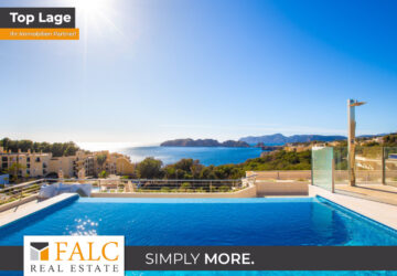 [COVER] falc-overlay-image-%5BTIME%5D.jpeg