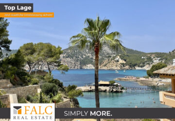 [COVER] falc-overlay-image-[TIME]