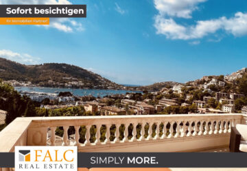 [COVER] falc-overlay-image-[TIME]