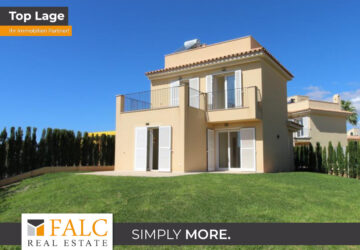 [COVER] falc-overlay-image-%5BTIME%5D.jpeg