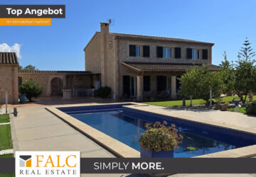 [COVER] falc-overlay-image-%5BTIME%5D.jpeg