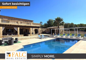 [COVER] falc-overlay-image-%5BTIME%5D.jpeg