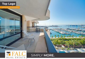 [COVER] falc-overlay-image-[TIME]