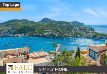 [COVER] falc-overlay-image-[TIME]