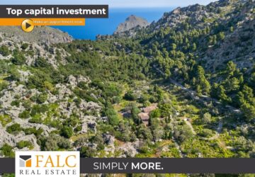 [COVER] Vogelansicht