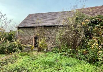 Garten Scheune 1