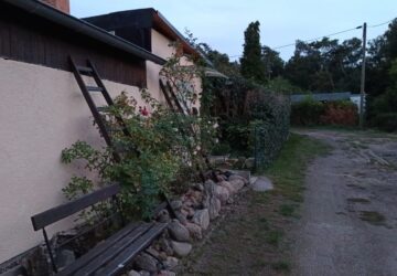 Medien 3-47D124CE-26C7-4843-916E-5CEFD9AFAECD