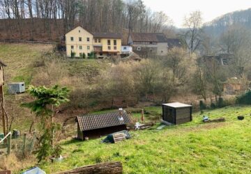 Natur pur...