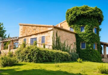 Finca