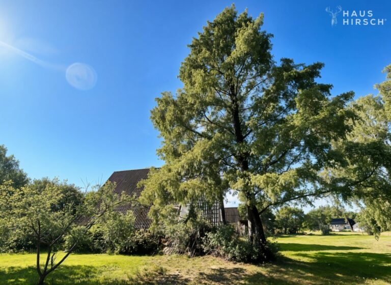 Parkartiges Grundstück