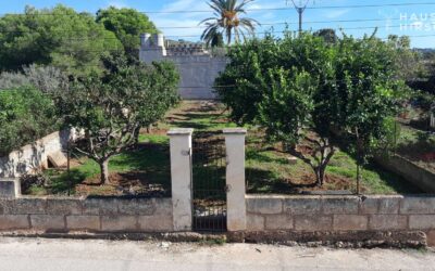 Objekte 5 Whatsapp Image 2025-02-24 At 10.59.30