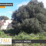 [Cover] Falc-Overlay-Image-%5Btime%5D.jpeg