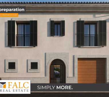 [Cover] Falc-Overlay-Image-%5Btime%5D.jpeg