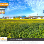 [Cover] Bc3Be44A-D791-4Ec7-8A74-2F99Bf933940_Original.jpg