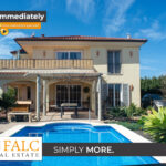 [Cover] Falc-Overlay-Image-%5Btime%5D.jpeg