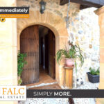 [Cover] Falc-Overlay-Image-%5Btime%5D.jpeg