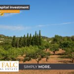 [Cover] Falc-Overlay-Image-%5Btime%5D.jpeg