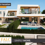 [Cover] Falc-Overlay-Image-%5Btime%5D.jpeg