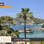 [Cover] Falc-Overlay-Image-[Time]