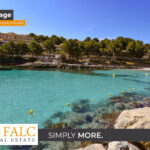 [Cover] Falc-Overlay-Image-%5Btime%5D.jpeg