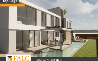 [Cover] Falc-Overlay-Image-%5Btime%5D.jpeg