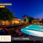 [Cover] Falc-Overlay-Image-%5Btime%5D.jpeg