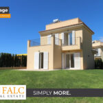 [Cover] Falc-Overlay-Image-%5Btime%5D.jpeg