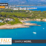 [Cover] Falc-Overlay-Image-%5Btime%5D.jpeg