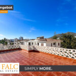 [Cover] Falc-Overlay-Image-%5Btime%5D.jpeg