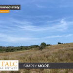 [Cover] Falc-Overlay-Image-%5Btime%5D.jpeg