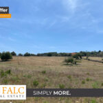 [Cover] Falc-Overlay-Image-%5Btime%5D.jpeg