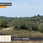 [Cover] Falc-Overlay-Image-%5Btime%5D.jpeg