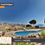 [Cover] Falc-Overlay-Image-%5Btime%5D.jpeg