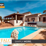 [Cover] Falc-Overlay-Image-%5Btime%5D.jpeg