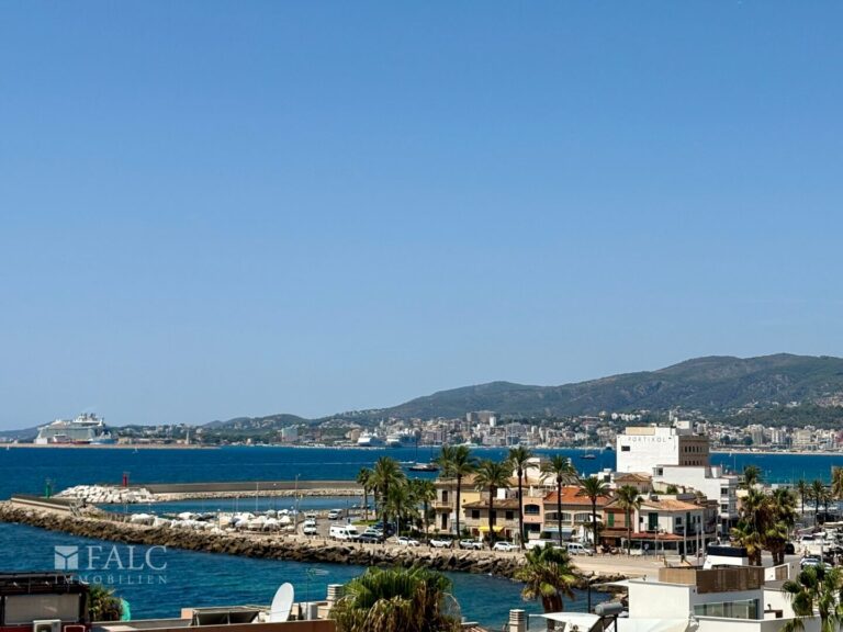 View - Community Terrace