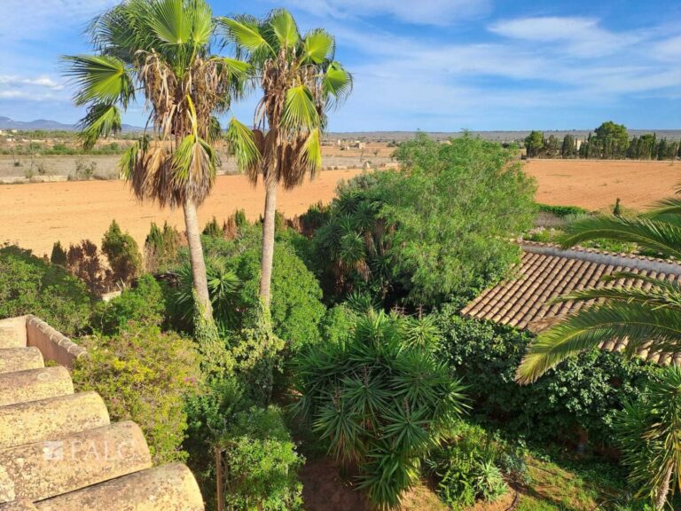 Finca Campos Gartenblick