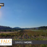 [Cover] Baugrundstueck Porreres Mit Weinberg