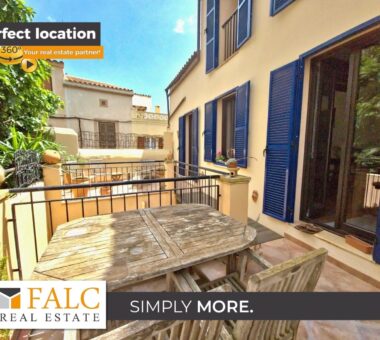 [Cover] Falc-Overlay-Image.jpeg