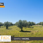 [Cover] Ansicht Grundstück