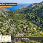 [Cover] Vogelansicht