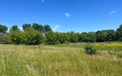 Immobilien 3 Ansicht