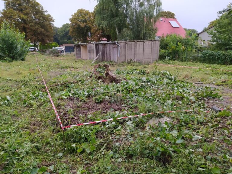 Grundstück mit Baugenehmigung