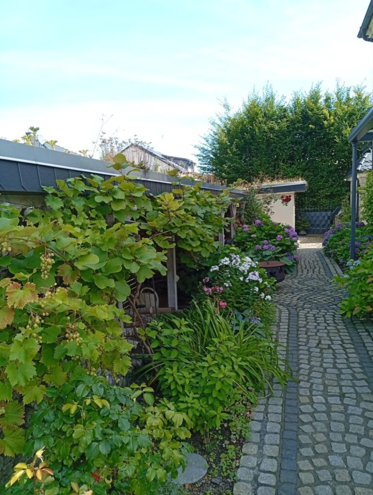 Seitenweg zum Hoftor