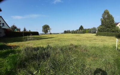 Bauland. Links Und Rechts In Verbindung Die Grundstücksgrenze